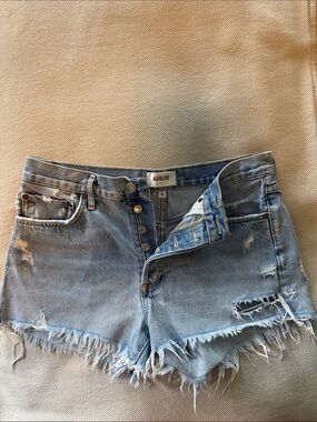 Agolde Parker Shorts